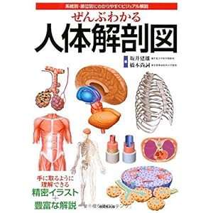 【クリックで詳細表示】ぜんぶわかる人体解剖図―系統別・部位別にわかりやすくビジュアル解説： 坂井 建雄， 橋本 尚詞： 本