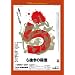 �甲���̎E�� [DVD]