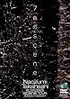 7�F��scene~Naozumi Takahashi A�fLIVE2005�uscene�v [DVD]