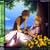 �u�c�o�T�E�N���j�N���v �I���W�i���E�T�E���h�g���b�N Future Soundscape II(�ʏ��)