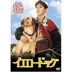 �C�G���[�h�b�O [DVD]