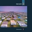 Momentary Lapse of Reason