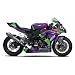 1/12 �o�C�N�V���[�Y No.7 �G���@���Q���I��RT�����@TRICK��STAR KAWASAKI ZX-10R 2010�N�d�l