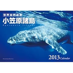 ���E���R��Y�E���}������ �J�����_�[ 2013�N