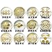 �V�h��̑� �y�퍑����/�Ɩ�E��(��) �蒤�萅���z 12mm�ʁE�ۃr�[�Y 1�ʔ��� (���c �M��)
