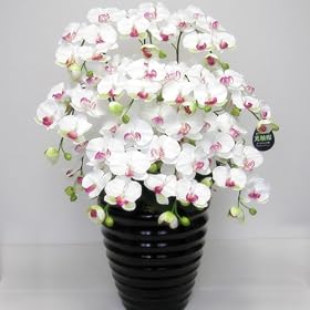 ���G�}�Ӓ���10�{�� �S8�F�i���h�蔫�j �����d�l CoCoCandy�n�E�X (�X�^���_�[�h�z���C�g)