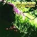 Music For A Rainy Day -It'll Never Happen Again-