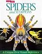 Spiders and Scorpions (Look Inside)