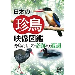 �V���t�H���X�gDVD ���{�̒����f���}�� �쒹�����Ƃ̊�Ղ̑���