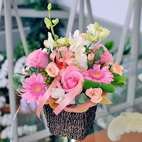 �y���������z���C�g�s���N�~�b�N�X�A�����W�����g �l�C�i���o�[����!!�J���t���ȃA�����W�����g�� �ԍH�[�ԑ���G�[�f�����C�X�t�����[�M�t�g