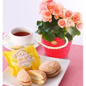 �y���������z���킢�����[�K�[�X�ƃu�b�Z�̃Z�b�g�y���a�����E���j���E�v���[���g�z