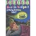A Flying Birthday Cake? (A Stepping Stone Book(TM))