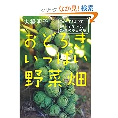 ���ǂ낫�����ς���ؔ�