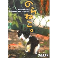 のらねこ。