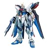 MG 1/100 ZGMF-X20A �X�g���C�N�t���[�_���K���_�� �G�N�X�g���t�B�j�b�V���o�[�W���� (�@����m�K���_��SEED DESTINY)