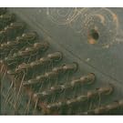 YOU YOU'RE A HISTORY IN RUST