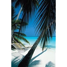 �wPALM VIEW/���V�̖؂���̒��߁sPPP-051�t�x���]�[�g�t�H�g�|�X�^�[���CPHOTO POSTER�ʔ́�