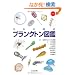 ���{�̊C�Y�v�����N�g���}�� DVD�t