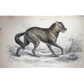 Jardine C1839 �̖k�A�����J�̃R���[�e�̖쐶����