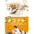 ����� �l�R�i�f �X�y�V�����E�G�f�B�V���� [DVD]