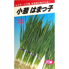 ���K�͂܂��q(�E�G�L��z)����:10ml