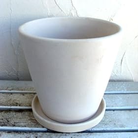 �i�`�������|�b�g���a24cm�ƃ\�[�T�[20cm�̃Z�b�g[8��]