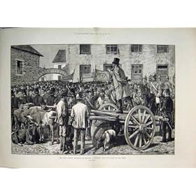 1881 ���̓y�n���[�O�h�a�̃A�C�������h�̕ۈ����̔̔��̋�