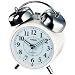 CASIO (�J�V�I) �ڊo�����v �d�g���v TQ-720J-7JF
