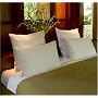 �s���[�J�o�[ pillowcover