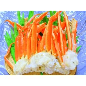 �y���ʌ���E���������z �y76%OFF�z �Y���C�I�� �H�ו��蕟�� 5.0kg (�{�C���Ⓚ)�y�󂠂�i�Ɩ��p�j�z~�M�t�g�E�v���[���g�ɂ��œK~
