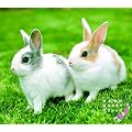 ����₩HAPPY�N���V�b�N