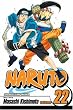 Naruto, Vol. 22 (Naruto (Graphic Novels))