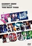 GARNET CROW livescope 2010~THE BEST TOUR~ [DVD]
