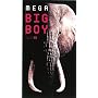 mega BIG BOY(���K �r�b�O �{�[�C) 1��12��