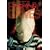 �t�@�j�[�Q�[�� [DVD]