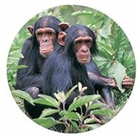 �A�j�}���wWild Life�s�`���p���W�[�t�x�X�e�b�J�[