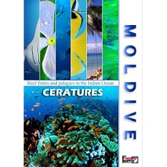 MOLDIVE THE CREATURES �C���h�m�̐^�� �����W�u/�N�����[�`���A�[�Y [DVD]