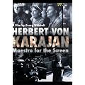�w���x���g�E�t�H���E�J������ ~�X�N���[����̃}�G�X�g�� [DVD]