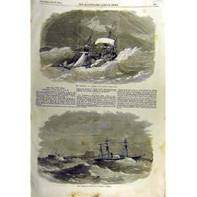 1857 �_����Ȃ��T�C�N�����̃C���h�m�� Starling �̏��^�C��