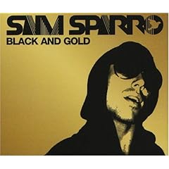 【クリックで詳細表示】Black ＆ Gold [Single， Maxi， Import]