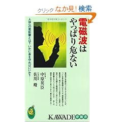 �d���g�͂���ς��Ȃ�---�l�̂ւ̈��e���Ƃ́H �����ɐg�����΂������H (KAWADE���V��)