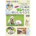 NEW�����ʂ̃�������񂾂����イ���� [DVD]