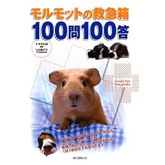 �������b�g�̋~�}�� 100��100��