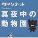 NHK �N�C���e�b�g�u�^�钆�̓������v