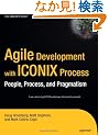 Agile Development with the ICONIX Process: People, Process, and Pragmatism