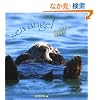���b�R�̂������\sea angel (Seiseisha minibook�\sea angel)