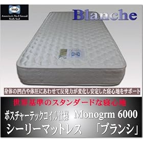 �y�V�[���[�z�}�b�g���X �a�������������i�u�����V) �V���O��