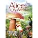 �s�v�c�̍��̃A���X [DVD]