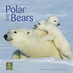 Polar Bears 2010 Calendar (Wall Calendar)