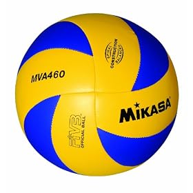 �~�J�T �o���[�{�[�� ���K��4�� ���w�Z/�ƒ�w�l�p MVA460